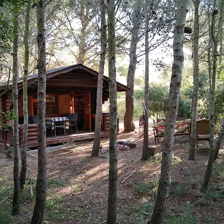 Bergerie Eco Dans La Nature *