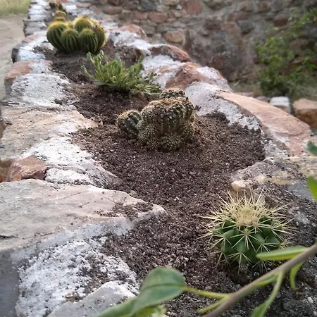 Bergerie Eco Dans La Nature