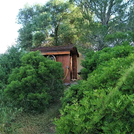 Bergerie Eco Dans La Nature
