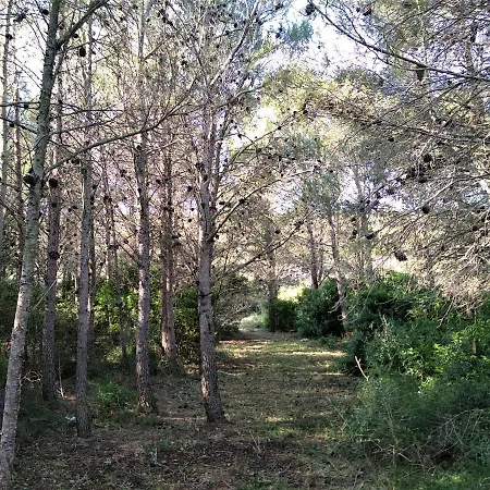 Villa Bergerie Eco Dans La Nature *